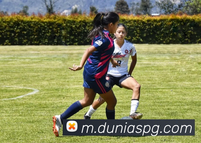 pg官网APP 封面图